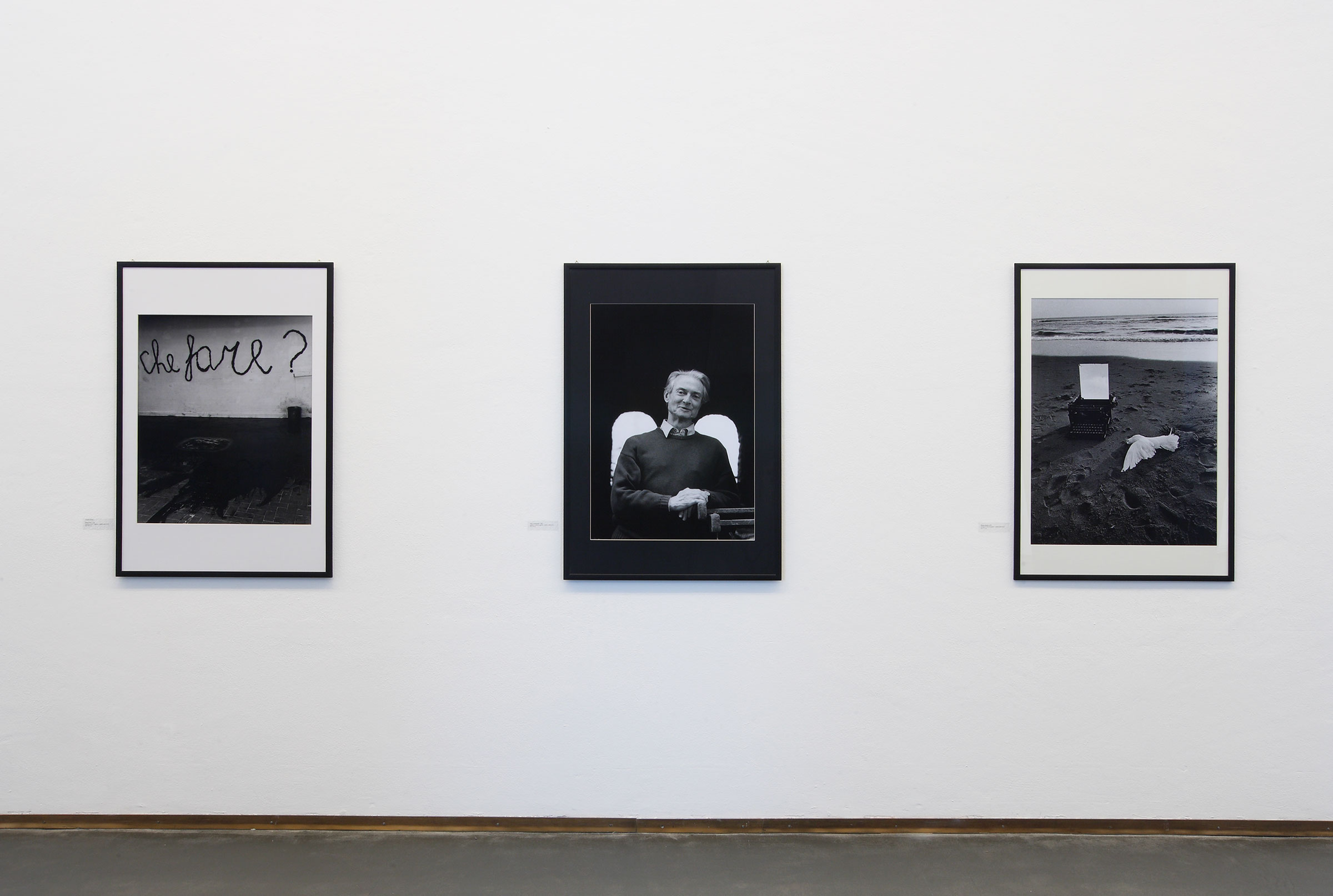 Claudio Abate, Mario Merz, Che fare?, 1969, Roy Lichtenstein, 1988, Diana Rabito, Natura morta della serie Underwood, 1972